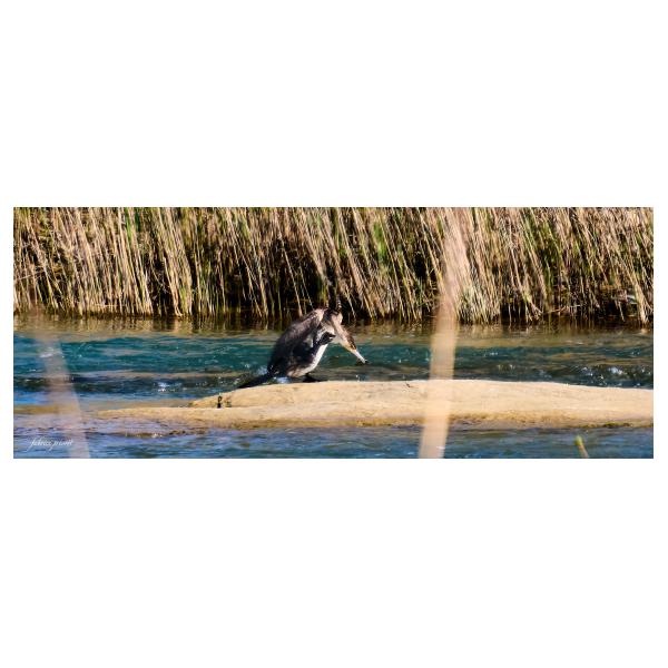 PHOTO84, CLUB, 84 , LUBERON